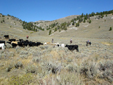 USA-Idaho-Medicine Lodge Cowboy Experience